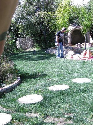 Эти девушки хотели получить много спермы, поэтому так старательно ублажали меня