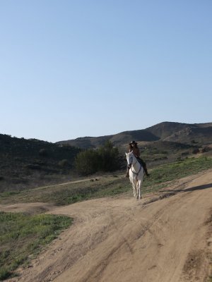 Жестко трахает сексуальную рабыню негритянку в пизду